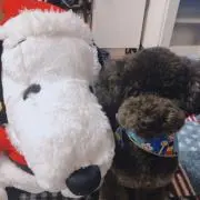 みーたんの画像