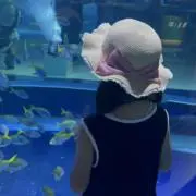 ｓａｙａの画像