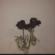 さきの画像