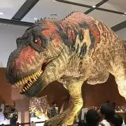 MIKE★の画像
