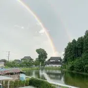 ターポの画像