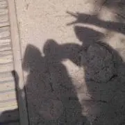 miii