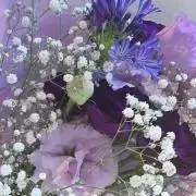 momome・:*+. 夏物出品中.:+の画像