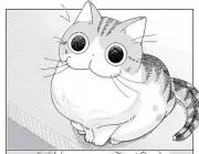hanachan