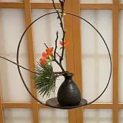 あきの画像