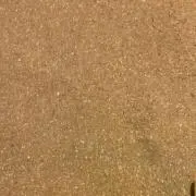 mmの画像