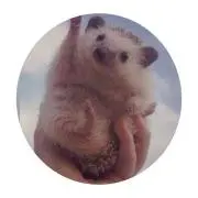 mai-プロフ必読！！