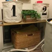 さゆの画像
