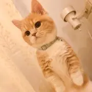 Saori♡の画像
