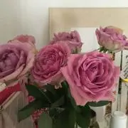 とこな★断捨離セール中