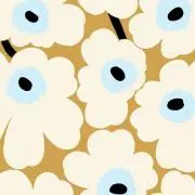 ✻(プロフ確認お願いします)の画像