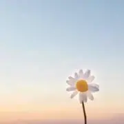 ちゃむちゃむ