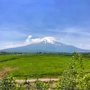 ロッキーの画像
