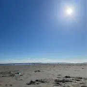 ベリの画像