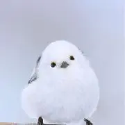 お茶の画像
