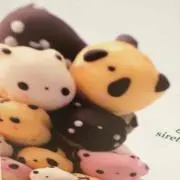 Riiの画像