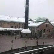 alibabaの画像