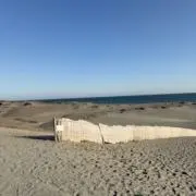 ASの画像