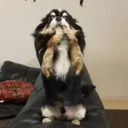 ペットボトル