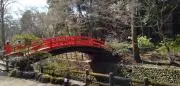 かずぅーの画像