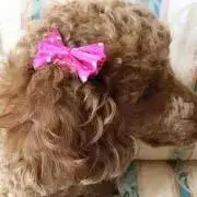 リーベ0921 ♡プロフ必読♡の画像
