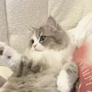 meの画像