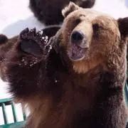 える