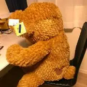ダッフィくんの画像