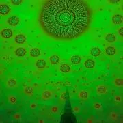 クアトロの画像