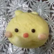 わーちゃんの画像