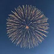 こじかちしみの画像