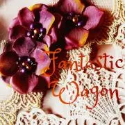 Fantastic Wagonの画像