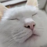 フジタカ