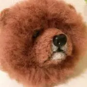 MEBIUSの画像