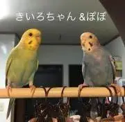 るきの画像
