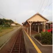 しんの画像