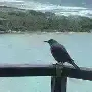 しょん　▶️プロフご確認下さいの画像