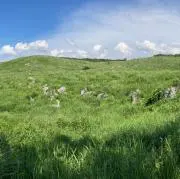 あびこの画像