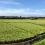 ガルシアパーラ(プロフ必読)の画像