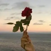 ゆう　※お値下げOK 早い者勝ちの画像