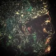 sunegirochinの画像