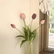 mekko5の画像