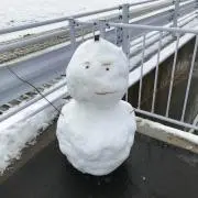 tachiの画像