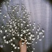 aの画像