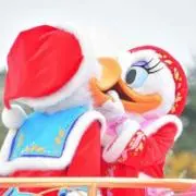 とらじゃの画像