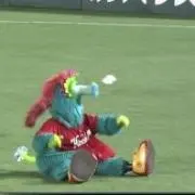 KCの画像