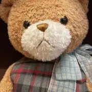 ぽんの画像