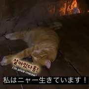 坂本
