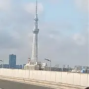 チョコプリンの画像