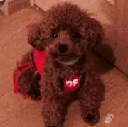 まにゅ☆の画像